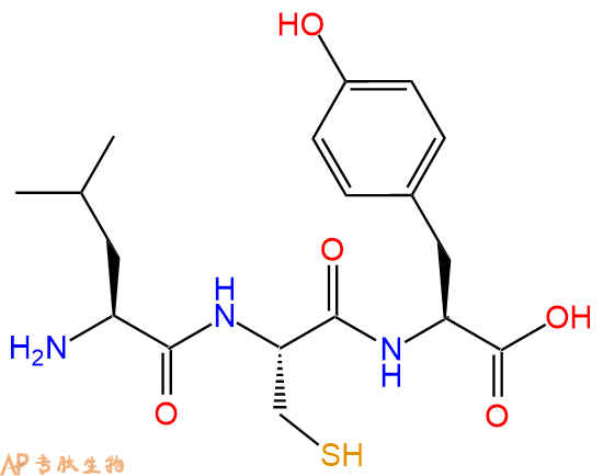 专肽生物产品三肽Leu-Cys-Tyr