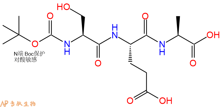 专肽生物产品三肽Boc-Ser-Glu-Ala123197-16-0