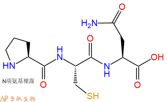 专肽生物产品三肽Pro-Cys-Asn