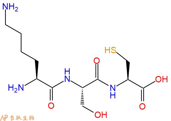 专肽生物产品三肽Lys-Ser-Cys