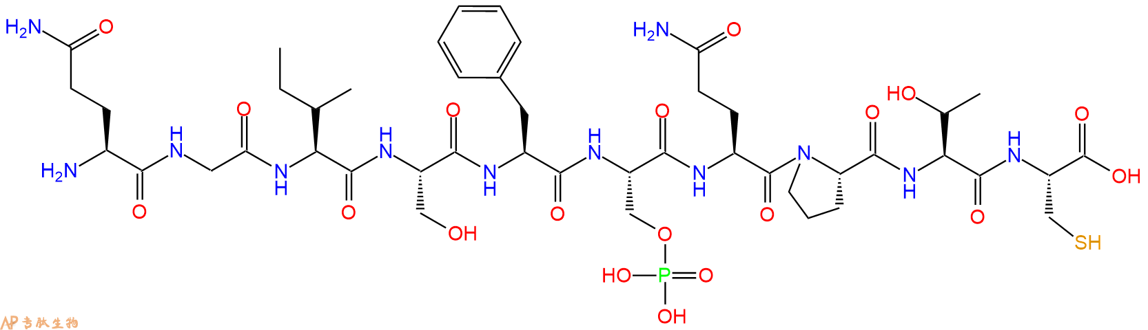 专肽生物产品[pS345]-Chk1