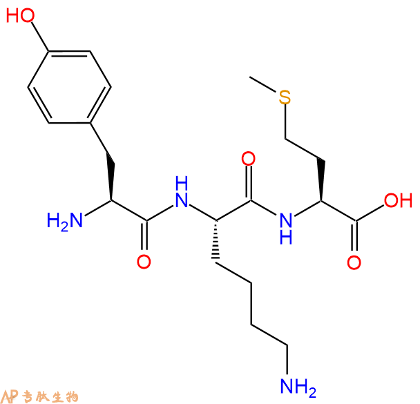 专肽生物产品三肽Tyr-Lys-Met