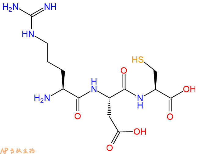 专肽生物产品三肽Arg-Asp-Cys