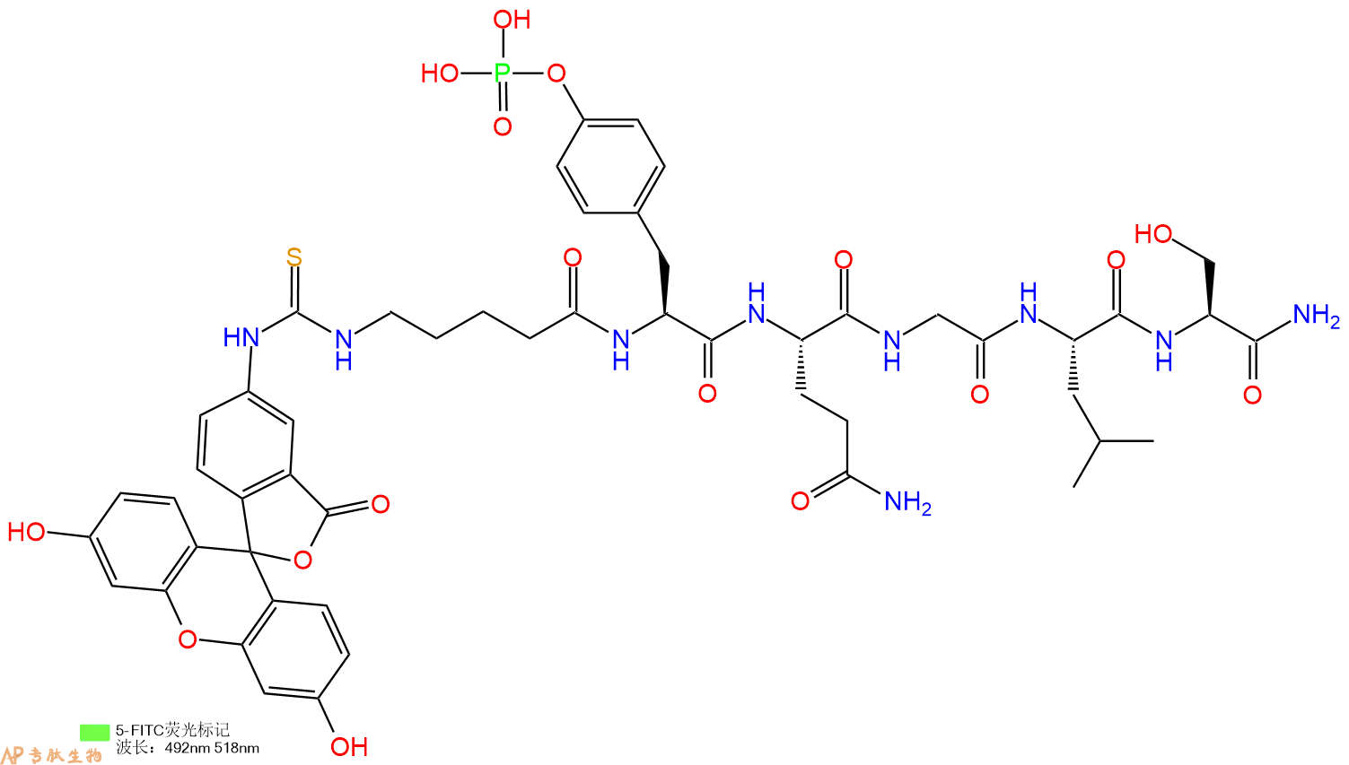 专肽生物产品荧光标记肽FITC-NH-(CH2)4-CO-pTyr-Gln-Gly-Leu-Ser-NH21133163-76-4