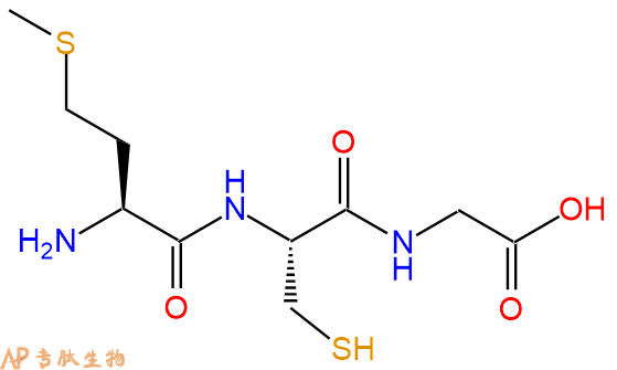 专肽生物产品三肽Met-Cys-Gly