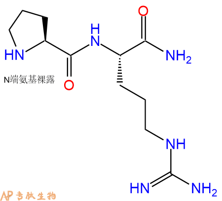 专肽生物产品二肽Pro-Arg-NH2