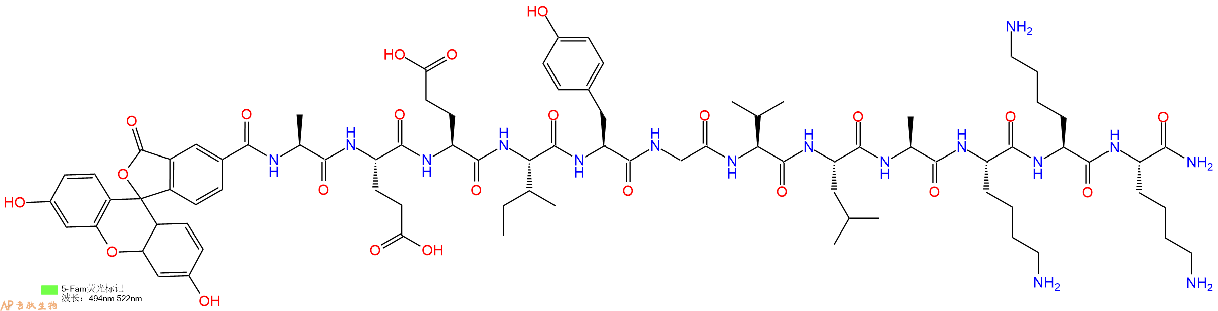 专肽生物产品荧光标记肽5-FAM-AEEIYGVLAKKK-NH2