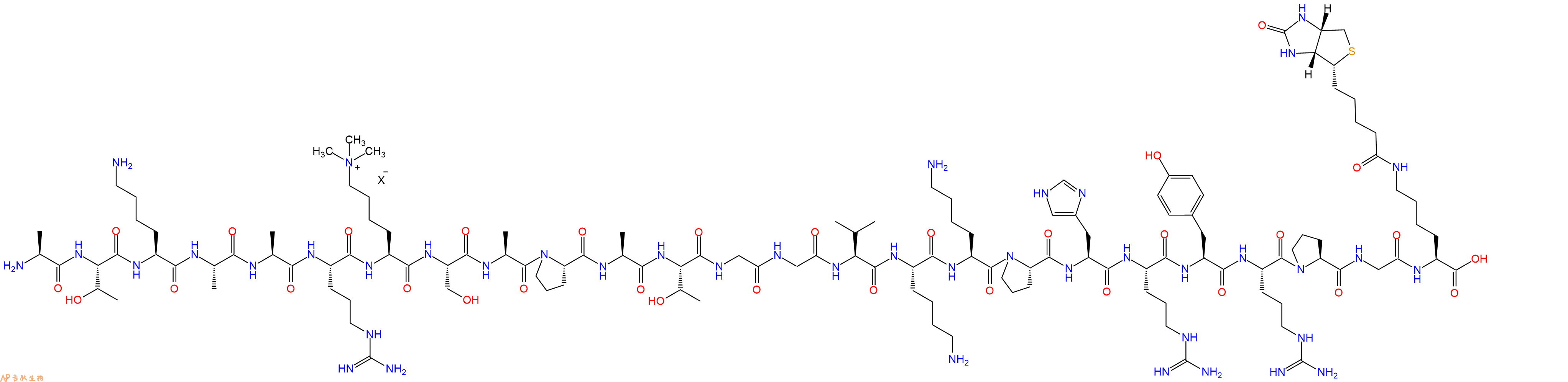 专肽生物产品组蛋白肽段[Lys(Me3)27]-Histone H3(21-44), biotin-la