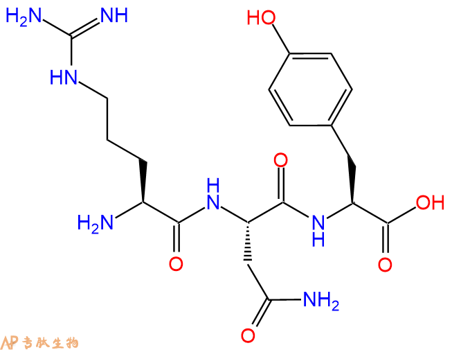 专肽生物产品三肽Arg-Asn-Tyr