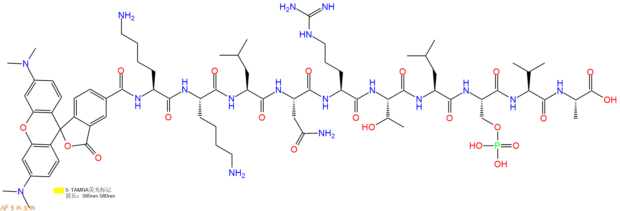 专肽生物产品5TAMRA-KKLNRTL-Ser(PO3H2)-VA