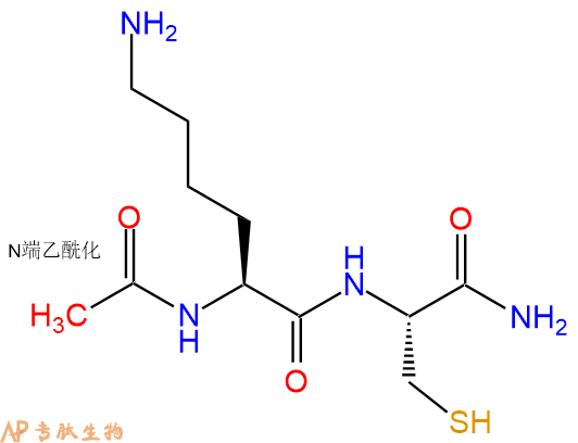 专肽生物产品二肽Ac-Lys-Cys-NH2