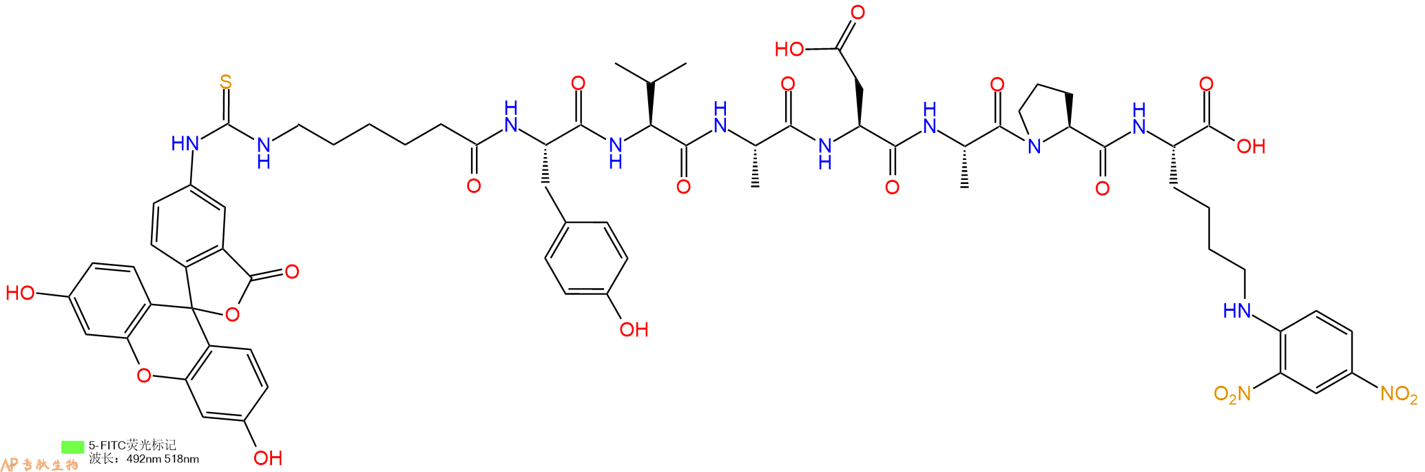专肽生物产品八肽Fitc-Acp-YVADAP-K(Dnp)1926163-32-7