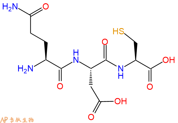 专肽生物产品三肽Gln-Asp-Cys