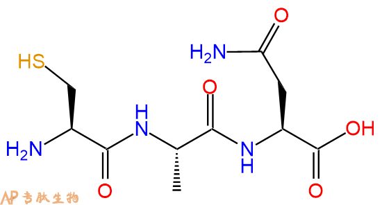专肽生物产品三肽Cys-Ala-Asn