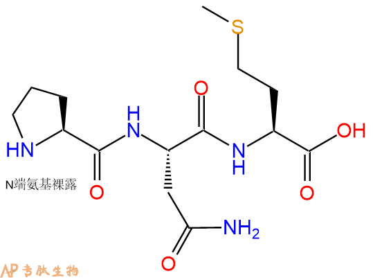 专肽生物产品三肽Pro-Asn-Met