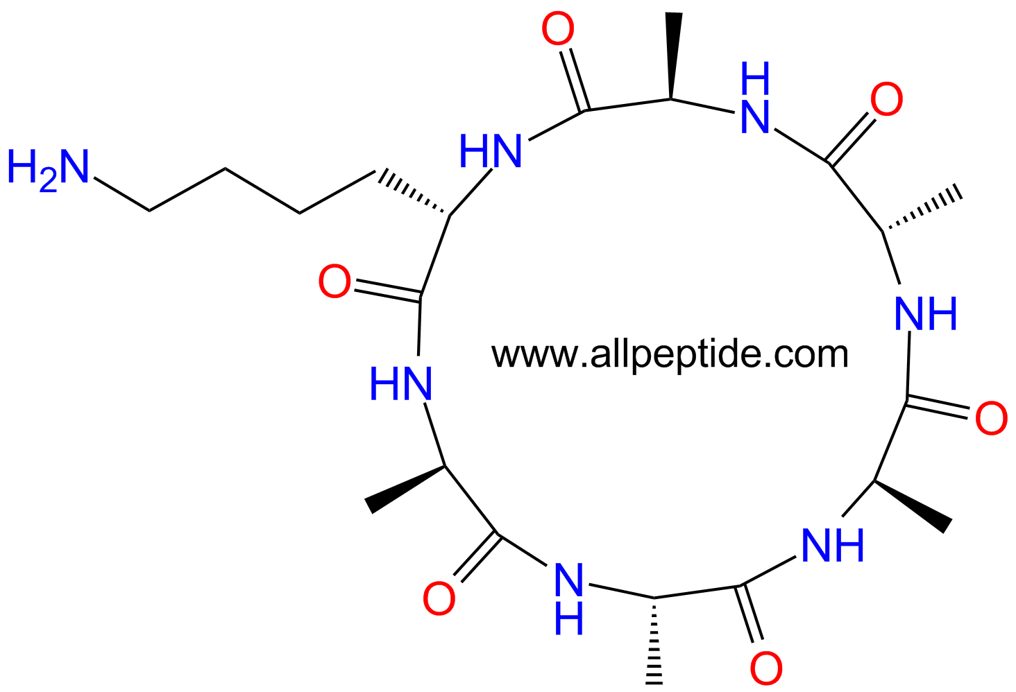 专肽生物产品环六肽c(DAla-Ala-DAla-Ala-DAla-Lys)959924-79-9