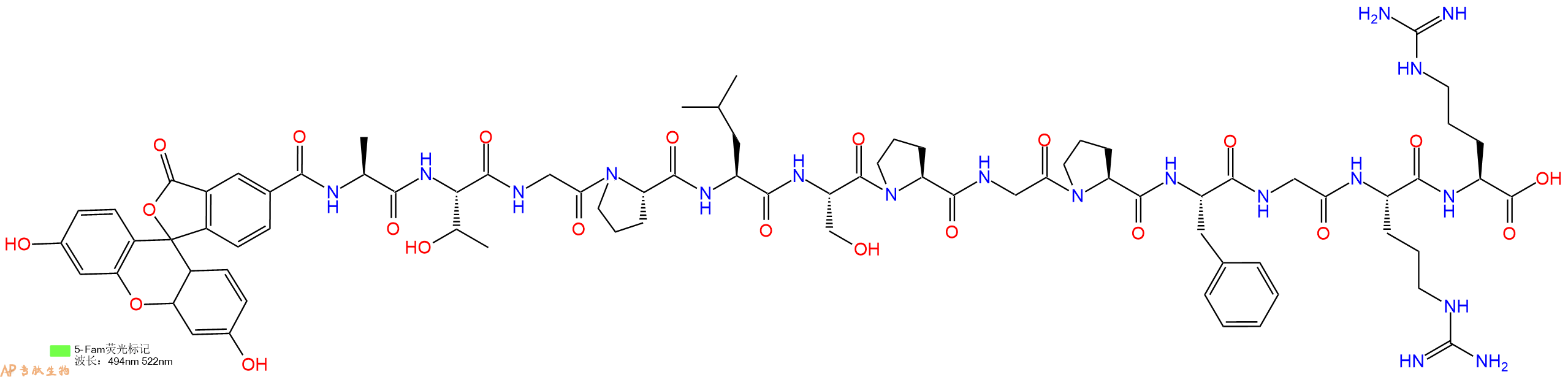 专肽生物产品荧光标记肽5-FAM-ATGPLSPGPFGRR