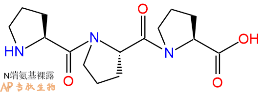 专肽生物产品三肽Pro-Pro-Pro19285-44-0