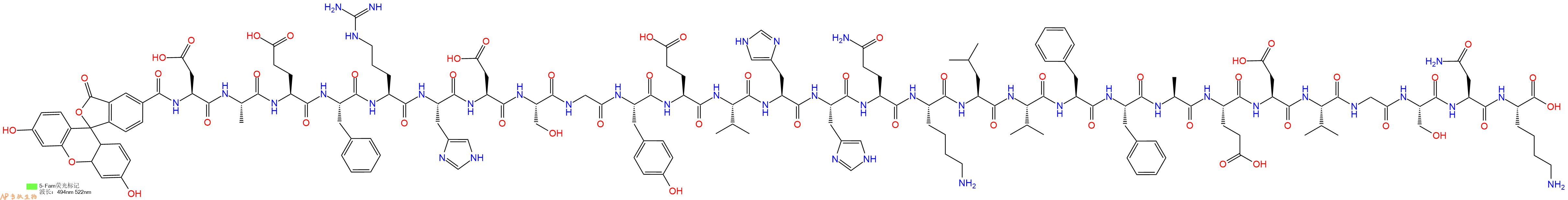 专肽生物产品淀粉肽Fam-β-Amyloid(1-28)|Fam-βAmyloid(1-28)