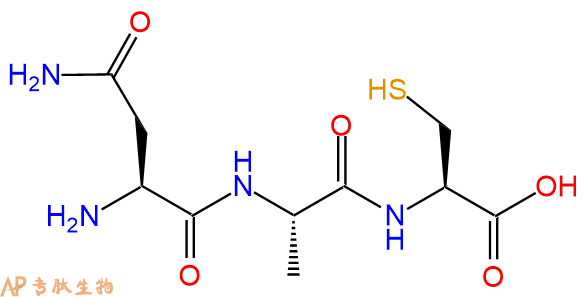 专肽生物产品三肽Asn-Ala-Cys