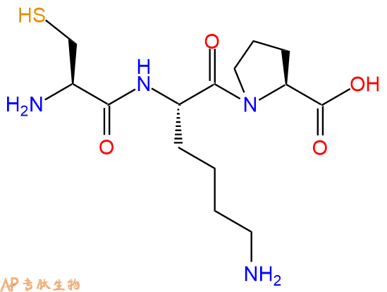 专肽生物产品三肽Cys-Lys-Pro