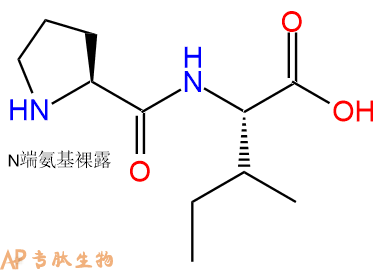 专肽生物产品二肽Pro-Ile51926-51-3