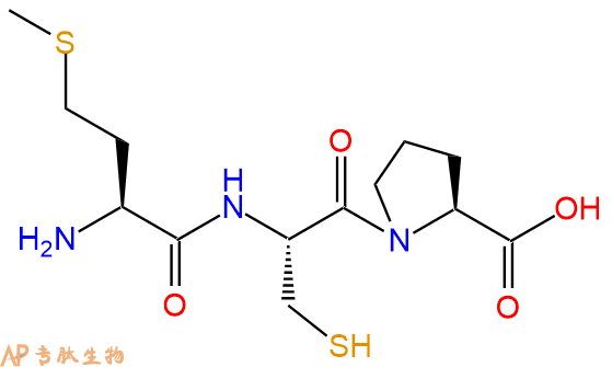 专肽生物产品三肽Met-Cys-Pro