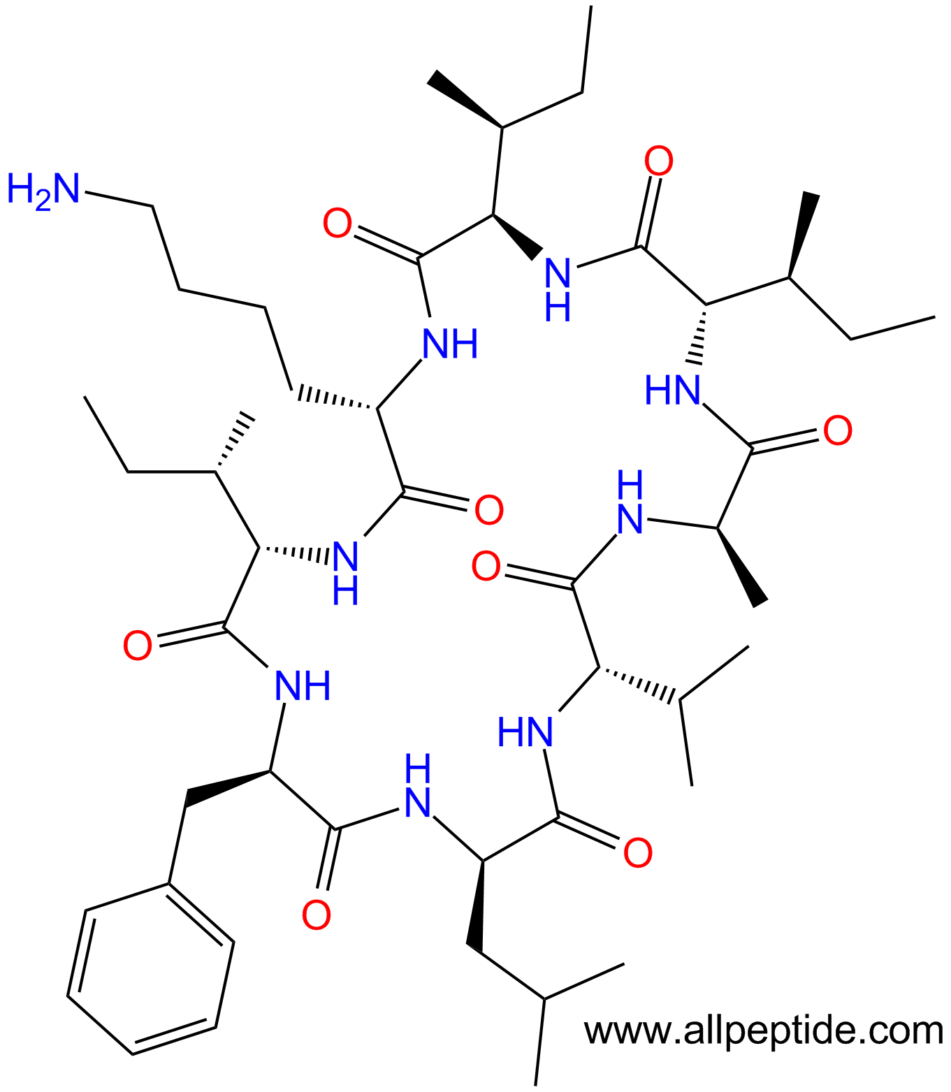 专肽生物产品八肽cyclo(I-DIle-KI-DPhe-DLeu-V-DAla)(main chain cyc1444002-16-7