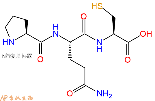 专肽生物产品三肽Pro-Gln-Cys