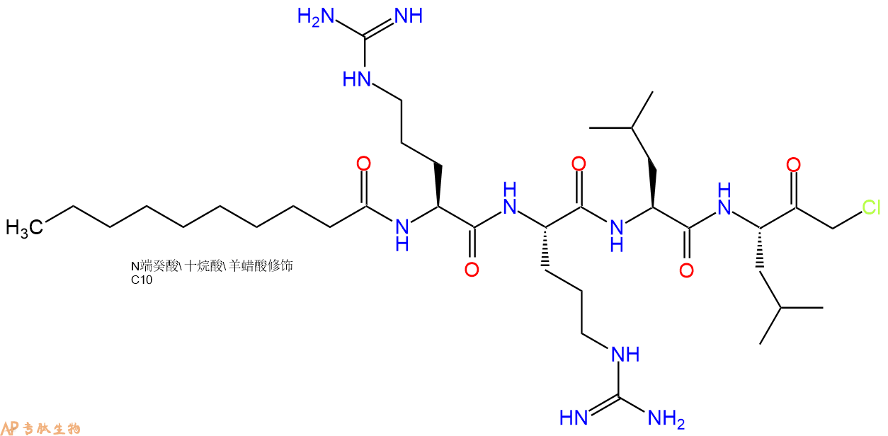 专肽生物产品四肽Decanoyl-Arg-Arg-Leu-Leu=Cmk911379-57-2