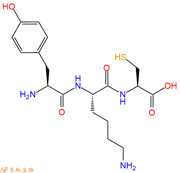 专肽生物产品三肽Tyr-Lys-Cys