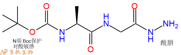 专肽生物产品二肽Boc-Ala-Gly-NH-NH2103584-88-9