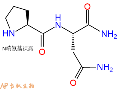 专肽生物产品二肽Pro-Asn-NH2