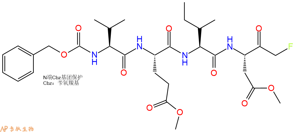 专肽生物产品Caspase-6 Inhibitor：Z-VEID-FMK