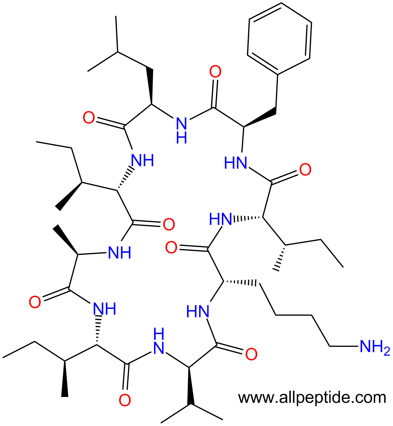 专肽生物产品八肽cyclo(I-DVal-KI-DPhe-DLeu-I-DAla)(main chain cyc1444002-13-4