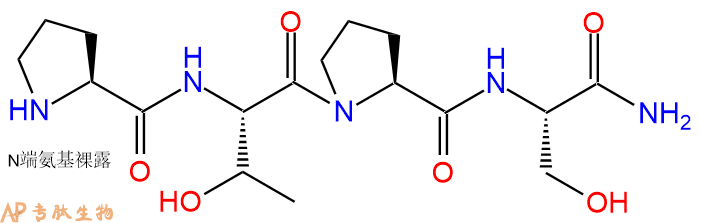 专肽生物产品抑制剂四肽Pro-Thr-Pro-Ser-NH2