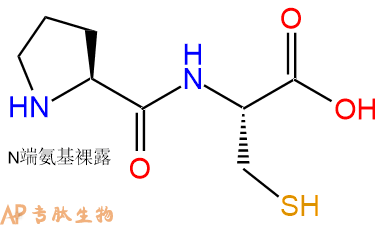 专肽生物产品二肽Pro-Cys