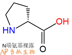 专肽生物产品　D-脯氨酸344-25-2