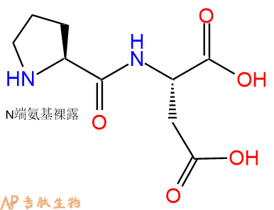 专肽生物产品二肽Pro-Asp85227-98-1