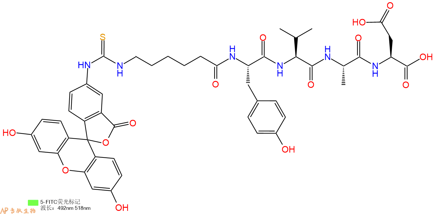 专肽生物产品五肽FITC-YVAD1926163-33-8