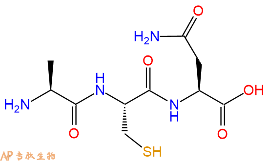 专肽生物产品三肽Ala-Cys-Asn