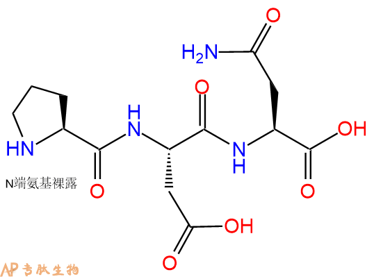 专肽生物产品三肽Pro-Asp-Asn