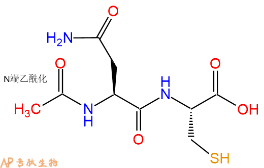 专肽生物产品二肽Ac-Asn-Cys
