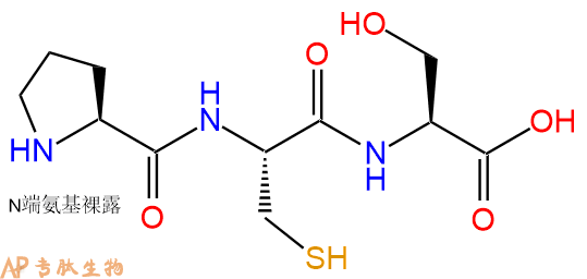 专肽生物产品三肽Pro-Cys-Ser