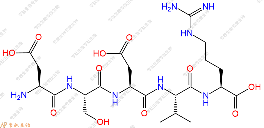 专肽生物产品五肽Asp-Ser-Asp-Val-Arg121274-46-2