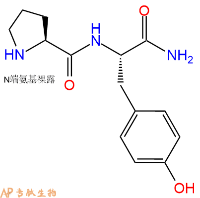 专肽生物产品二肽Pro-Tyr-NH252329-46-1