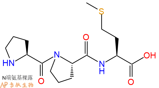 专肽生物产品三肽Pro-Pro-Met