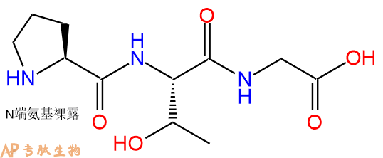 专肽生物产品三肽Pro-Thr-Gly