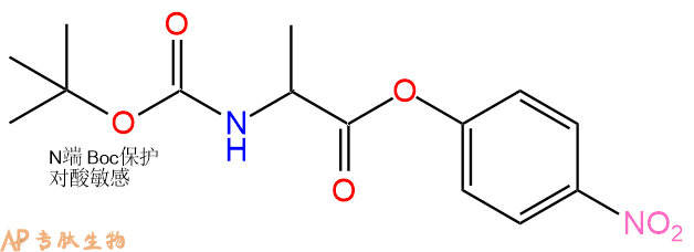 专肽生物产品Boc-Ala(DL)-ONP330813-93-9