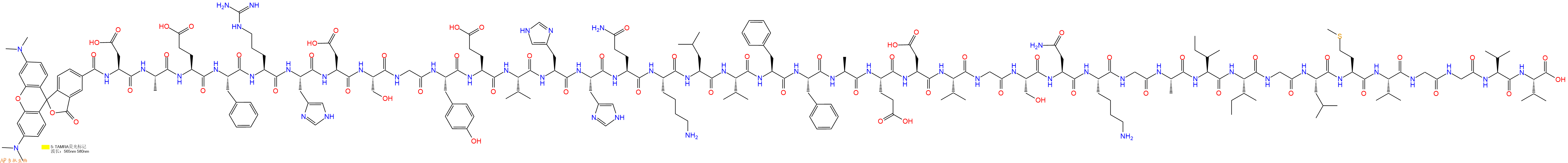 专肽生物产品淀粉肽5-TAMRA-Amyloid β-Protein (1-40)1802087-81-5
